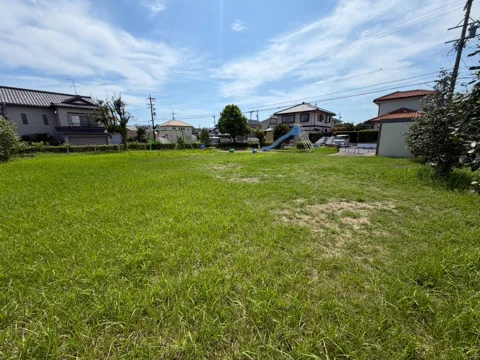 竜洋中島公園：芝生の広場と遊具を見渡す園内全景
