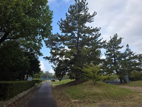 福田地区の風景：福田公園