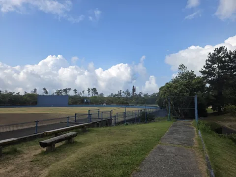 福田公園：野球場脇の園路と木製ベンチ