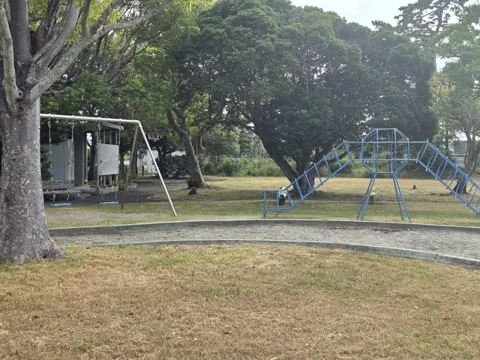 福田第1公園：太鼓橋型遊具と2連ブランコ