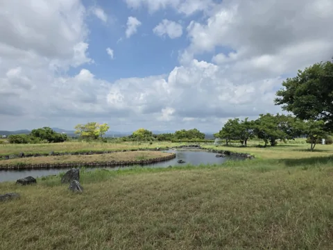 天竜川ラブリバー公園：芝生の広場と水路が広がる園内風景