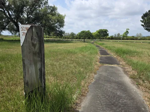 天竜川ラブリバー公園：芝生の中を通る細い舗装園路