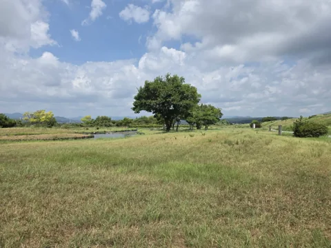 天竜川ラブリバー公園：水辺と樹木を見渡せる芝生の広場
