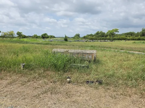 天竜川ラブリバー公園：草地と水辺を見渡す園内風景