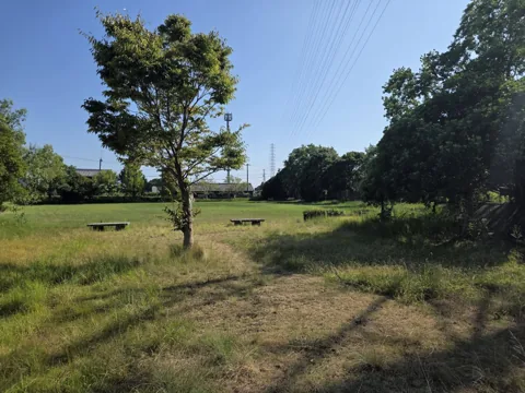おおぞら公園：ベンチと樹木がある芝生の広場