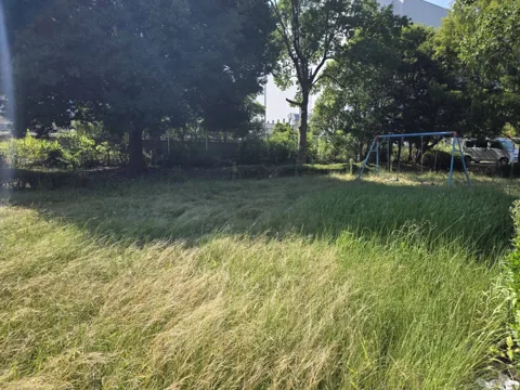 おおぞら公園：樹木のそばに設置された2連ブランコ