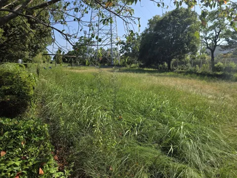 おおぞら公園：樹木に囲まれた芝生の広場