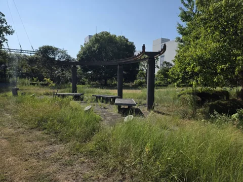 おおぞら公園：木製フレームの下に並ぶベンチ
