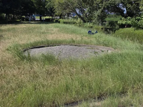 おおぞら公園：芝生広場にあるスプリング遊具とブランコ